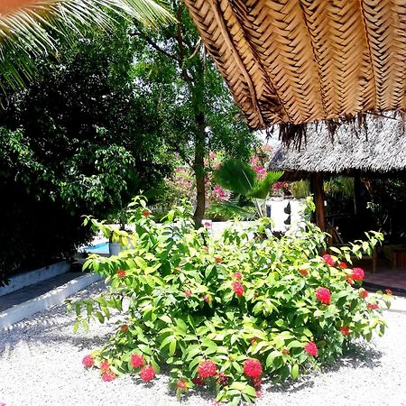 Vanilla Villa Нунгви Екстериор снимка